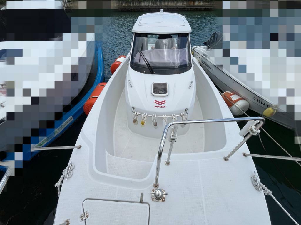 banner_093758-yanmar-fx24ez