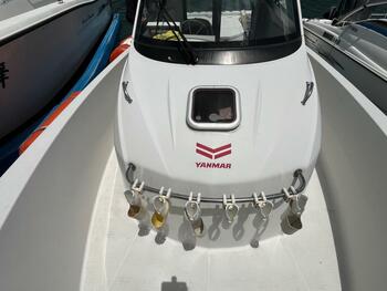 thumb_093758-yanmar-fx24ez