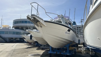 thumb_093759-yamaha-pc-26-pacific-cruiser-26-ak2