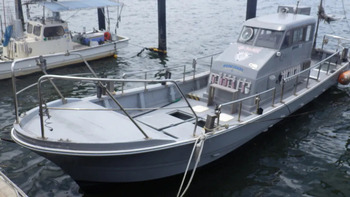 thumb_093765-yanmar-de33b