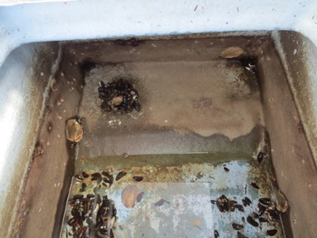 thumb_093768-marine-six-sw-30f