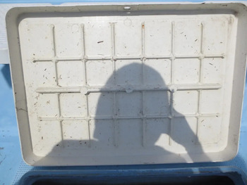 thumb_093768-marine-six-sw-30f