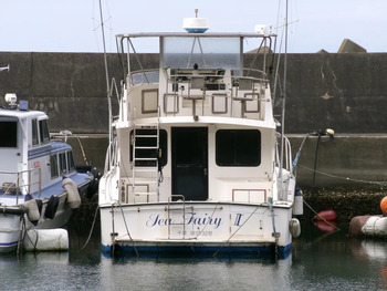 thumb_093769-blue-water-sportfisher-wa