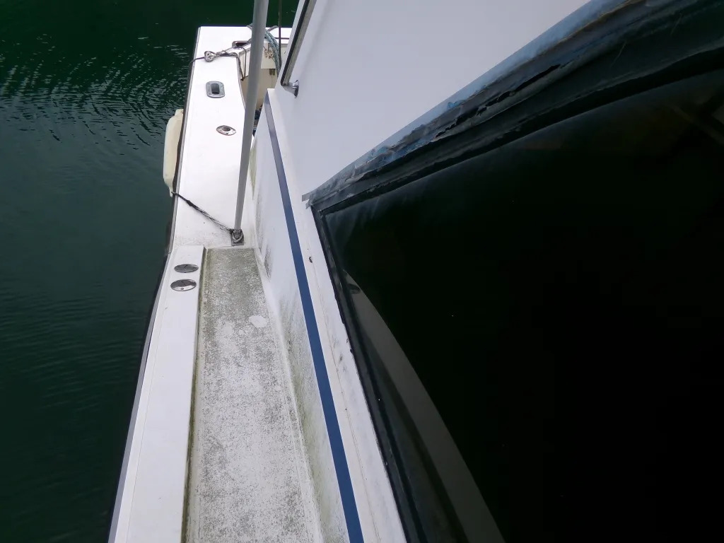 banner_093769-blue-water-sportfisher-wa