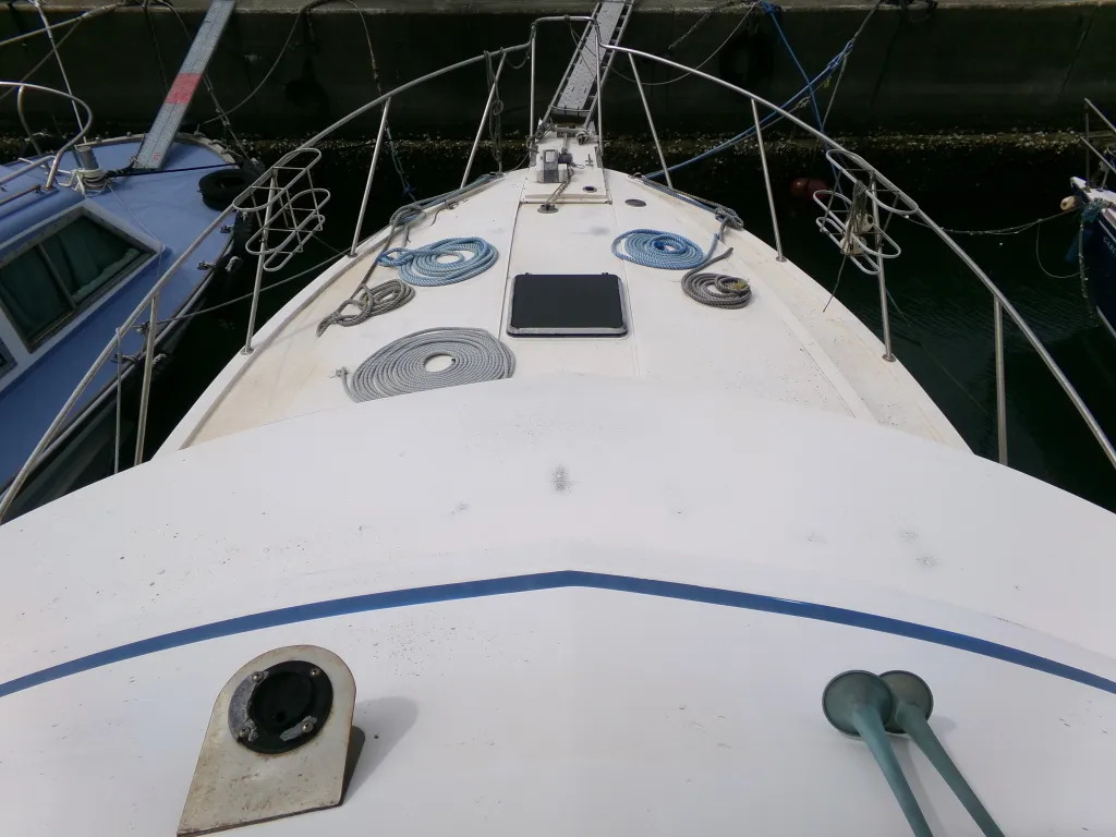 banner_093769-blue-water-sportfisher-wa