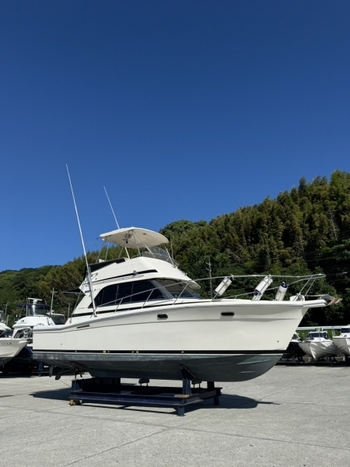 thumb_093904-riviera-3300