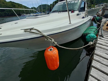thumb_093906-tohatsu-tsc250