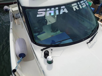 thumb_093906-tohatsu-tsc250
