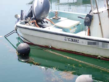 thumb_094039-yamaha-w-23