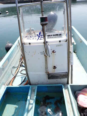 thumb_094039-yamaha-w-23