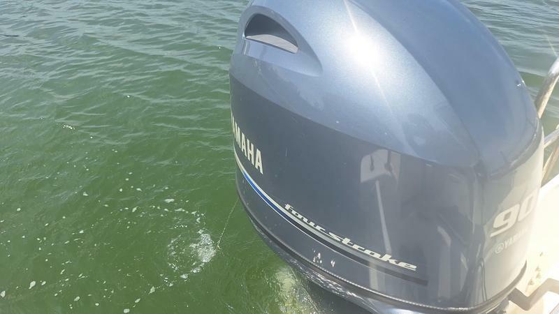 banner_094043-yamaha-bayfisher-25