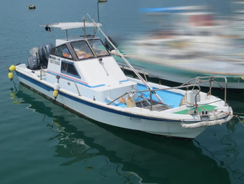 thumb_094049-yamaha-w-25
