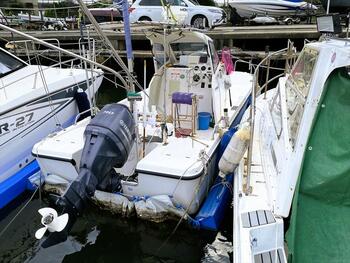 thumb_094054-yamaha-f-a-s-t-23