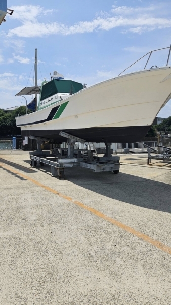 thumb_094071-yamaha-fg-39