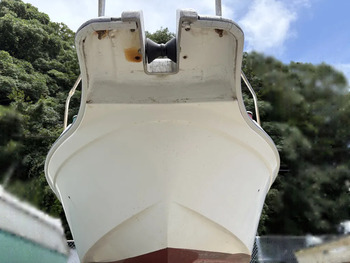 thumb_094090-yanmar-ef21z