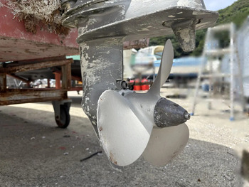 thumb_094090-yanmar-ef21z