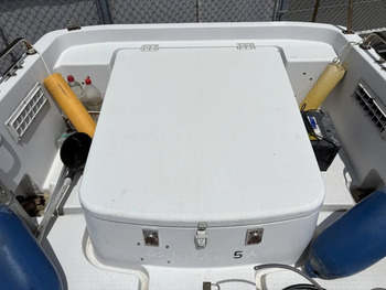 thumb_094090-yanmar-ef21z