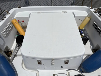 thumb_094090-yanmar-ef21z