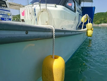thumb_094153-yanmar-de30ez