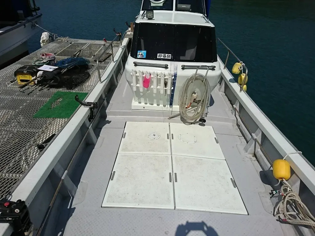 banner_094153-yanmar-de30ez