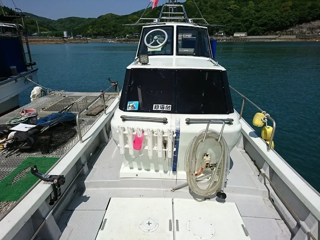 banner_094153-yanmar-de30ez