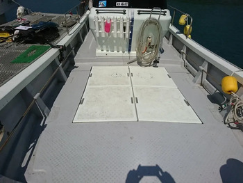 thumb_094153-yanmar-de30ez