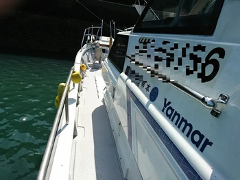 thumb_094153-yanmar-de30ez