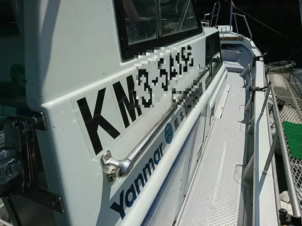 banner_094153-yanmar-de30ez
