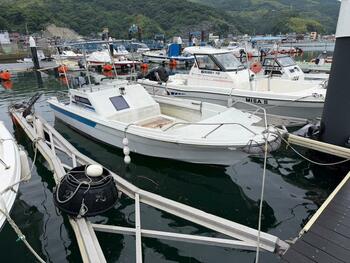 thumb_094159-yamaha-uf-20