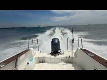 thumb_094171-yamaha-yfr-24