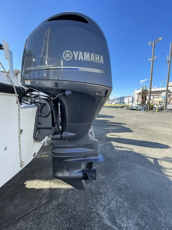 thumb_094181-yamaha-yfr-24-fsr