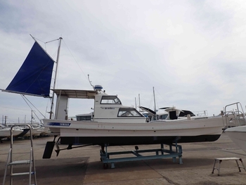 thumb_094187-yamaha-dx-36