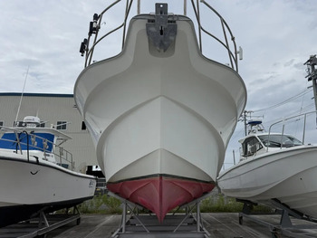 thumb_094246-yanmar-ex38