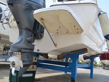 thumb_094256-yamaha-as-21