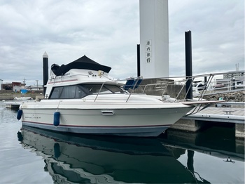 thumb_094261-bayliner-25