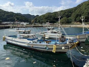 thumb_094263-yamaha-dy-43