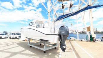 thumb_094270-yamaha-yfr-24ex