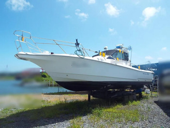 thumb_094278-yanmar-fz-30