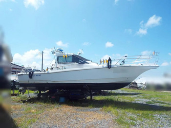 thumb_094278-yanmar-fz-30
