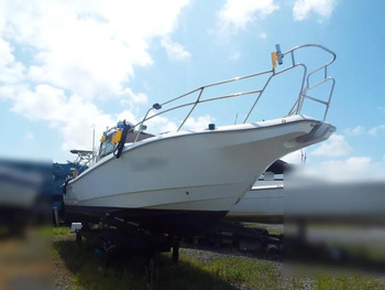thumb_094278-yanmar-fz-30