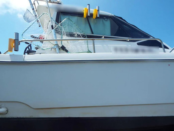 thumb_094278-yanmar-fz-30