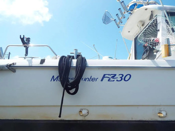 thumb_094278-yanmar-fz-30