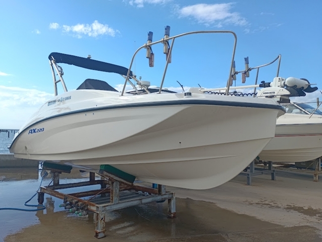 medium_094317-yamaha-ax220