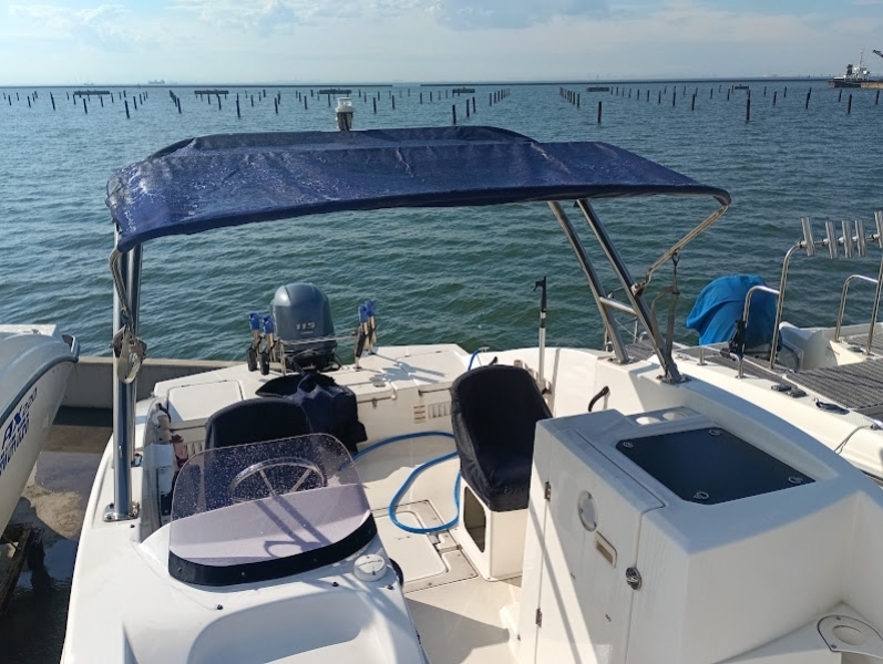 banner_094317-yamaha-ax220