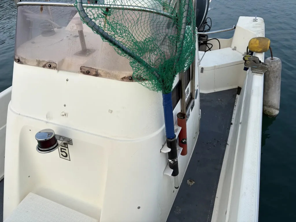 banner_094323-suzuki-ff210