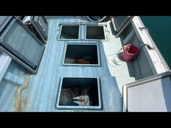 thumb_094327-yanmar-de26