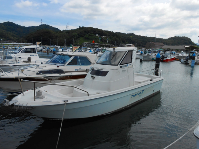 medium_094328-yanmar-ef22z-ht