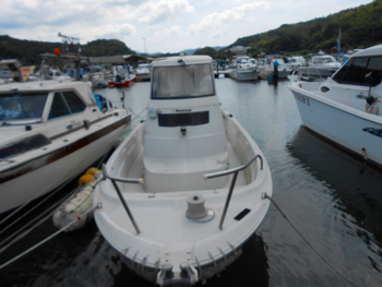 thumb_094328-yanmar-ef22z-ht