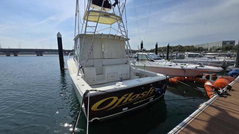 banner_094332-albemarle-330xf