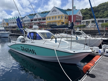 thumb_094351-yamaha-yfr-27-27-hmex